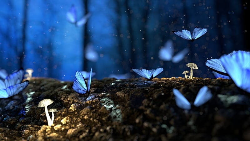 Enchanted Garden Art